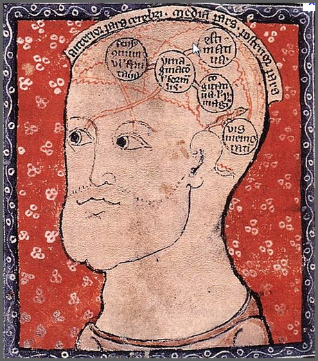 aND 14th Century Brain Image