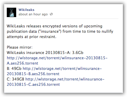 torrentwikileaksinsurancefilescreenshot