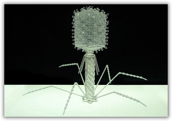 glasssculpturepathogensNINEt4bacteriophage