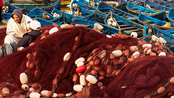 Fishing Port, Essaouira, Morocco