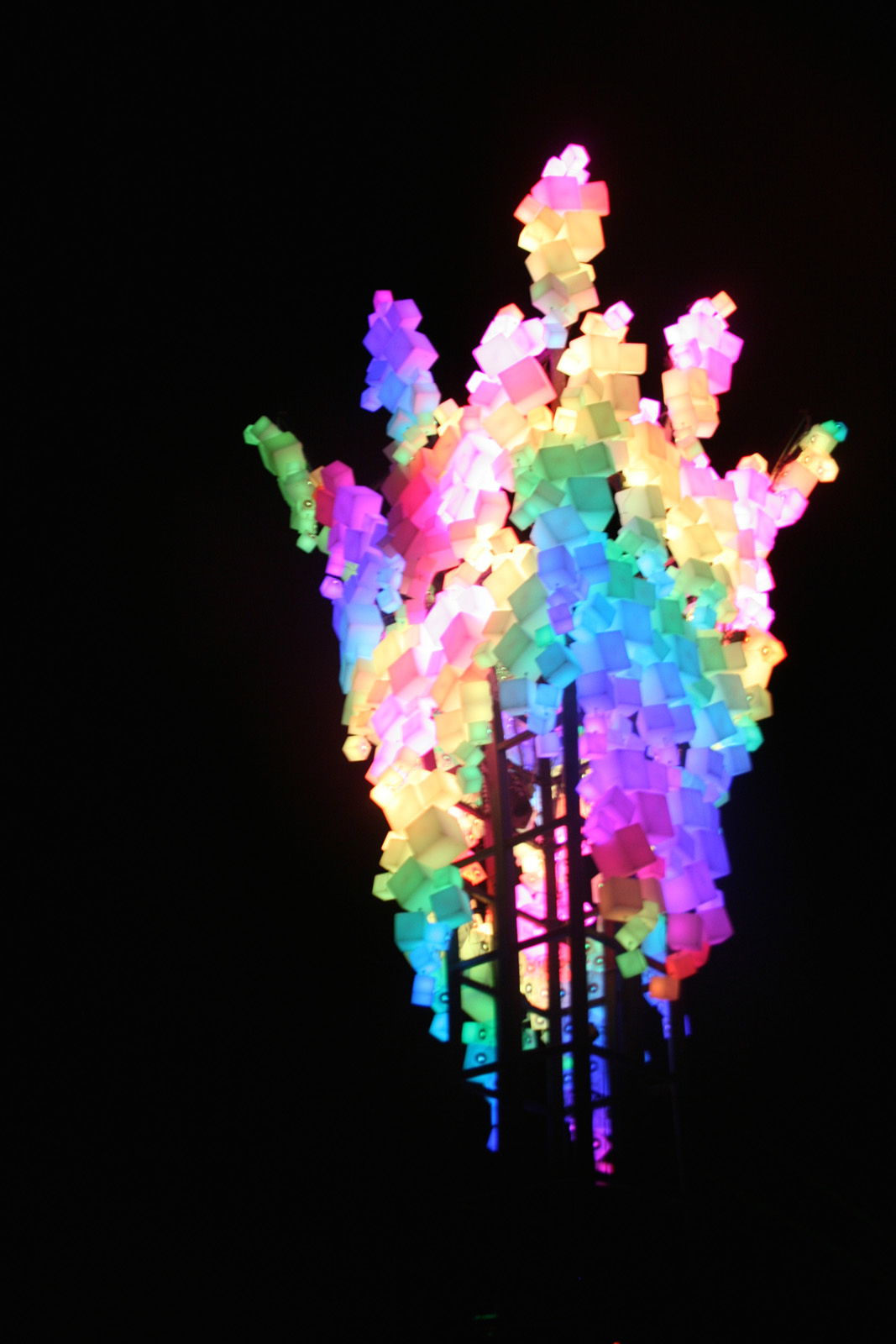 Burning Man 2014 LED Art