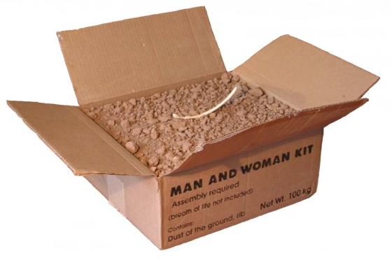 Man and Woman Kit - is it evolution or creationism?