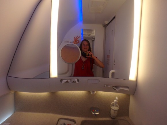 boeing 787 dreamliner terry gardner bathroom