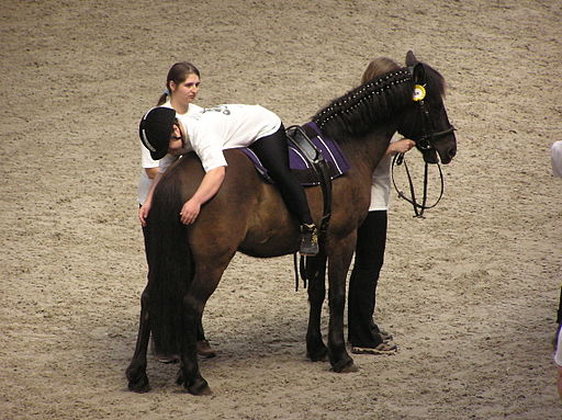equine assisted therapy