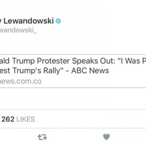 hillary clinton paid trump protesters corey lewandowski eric trump donald trump scavino fake news
