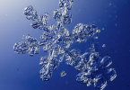 how to preserve a snowflake popular science