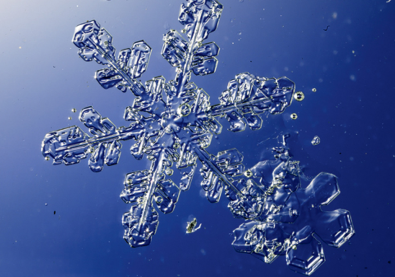 how to preserve a snowflake popular science