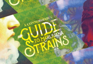 cannabis strains infographics