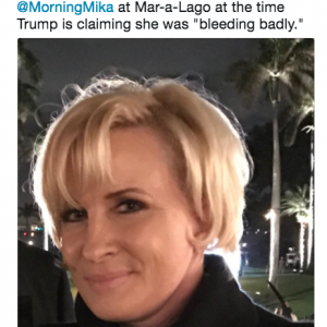 enemy of the american people mika