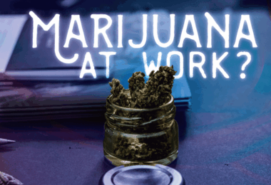 marijuana state laws